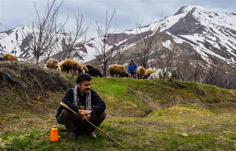 هنر عکاسی محفل عکاسی کیوان شفیعی #عکاسی مستند اجتماعی

زندگی در جریان است...
روستای وهنان_همدان
عکس:کیوان شفیعی
Iso:100
F .stap:10
Exposure time:1/160