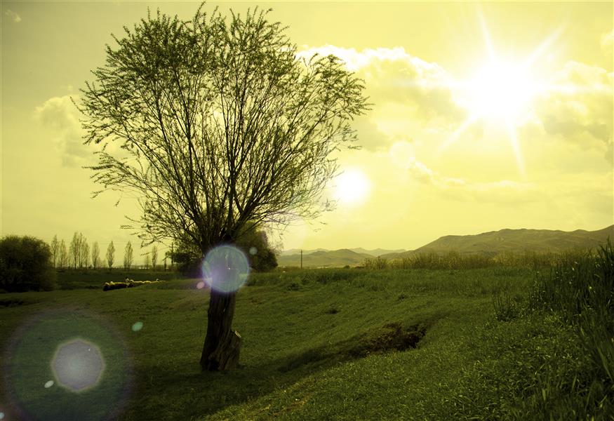 هنر عکاسی محفل عکاسی محسن گرمسیری 