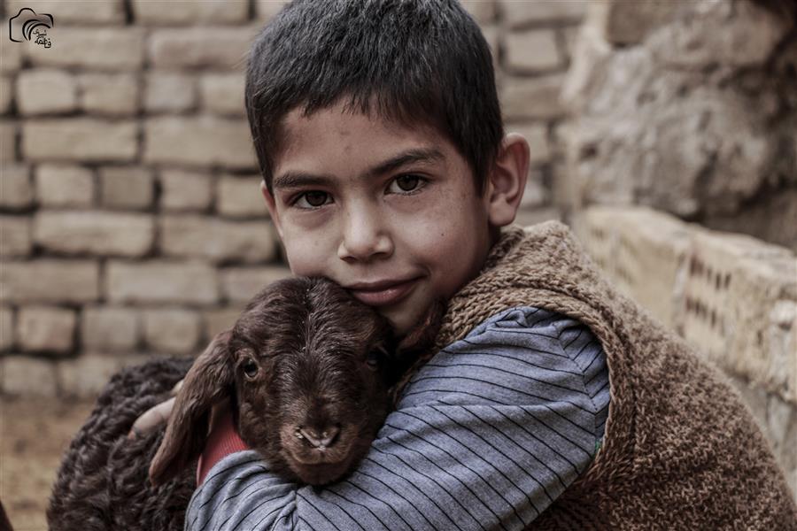 هنر عکاسی محفل عکاسی فاطمه شیروی 
