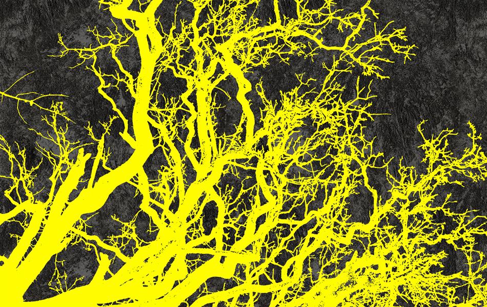 هنر نقاشی و گرافیک محفل نقاشی و گرافیک سپیده صاحبدل #sepidehsahebdelart #nature #worldart #artworld #artwork #digitalpainting#tree #digitalart #illustration #illustrator #sketch #art #artist #_سپیده_صاحبدل#طبیعت #درخت