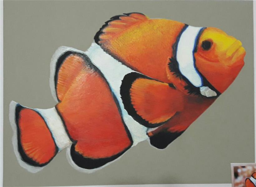 هنر نقاشی و گرافیک محفل نقاشی و گرافیک محبوبه افضلی  نقاشی از دلقک ماهی  #تکنیک گواش آبرنگ و مداد رنگی
