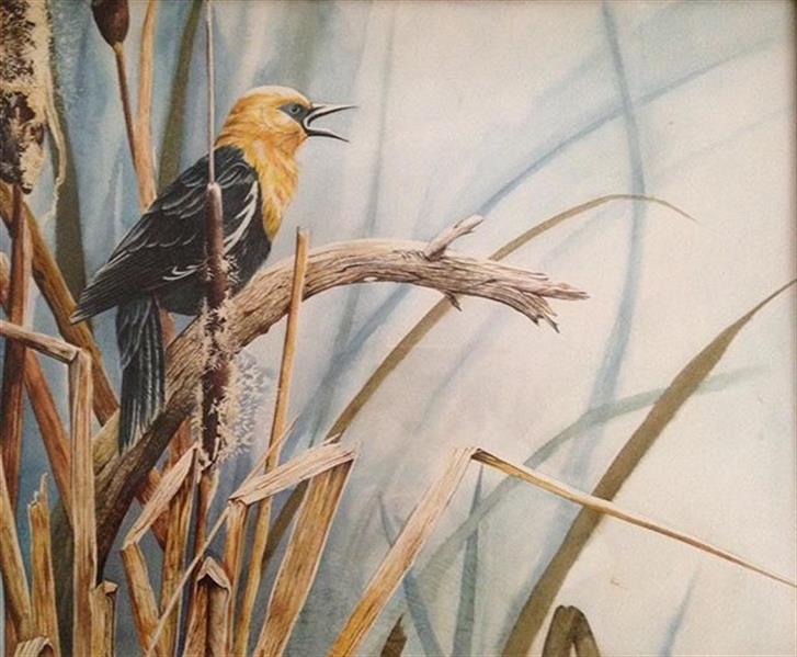 هنر نقاشی و گرافیک محفل نقاشی و گرافیک الهام رفیعی پرنده مرداب آبرنگ سایز اثر ٤٠ .٥٠