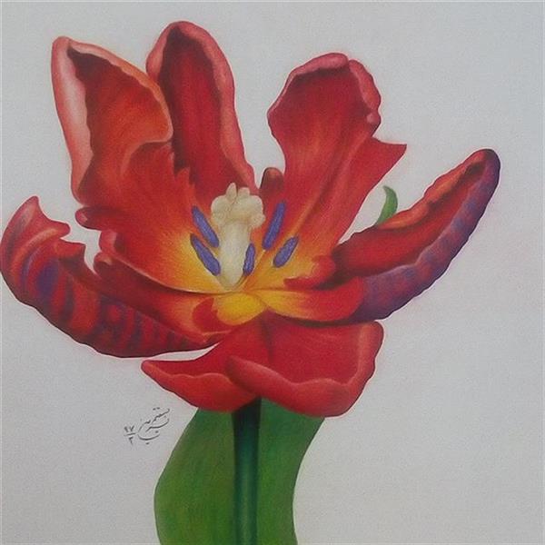 هنر نقاشی و گرافیک محفل نقاشی و گرافیک نسرین مستقیم گل-30*50-پاستل ومدادرنگی