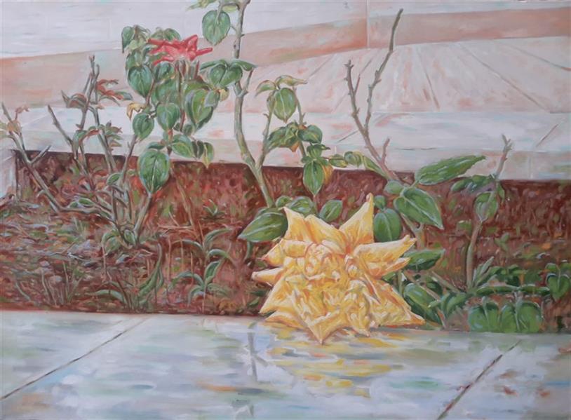 هنر نقاشی و گرافیک محفل نقاشی و گرافیک صادق اکبری پس از باران
تکنیک:رنگ وروغن
ابعاد:۵۰×۷۰