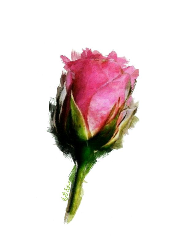هنر نقاشی و گرافیک محفل نقاشی و گرافیک صادق اکبری 