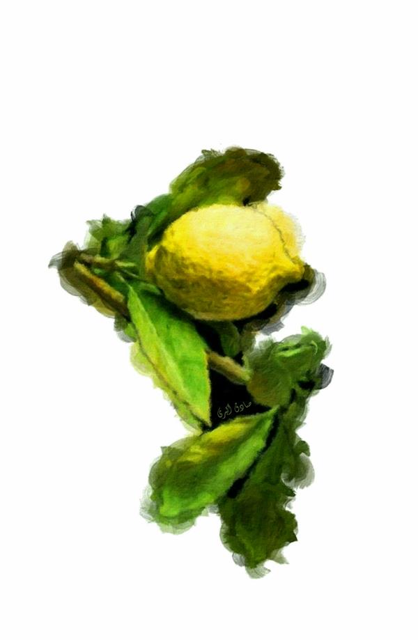هنر نقاشی و گرافیک محفل نقاشی و گرافیک صادق اکبری 