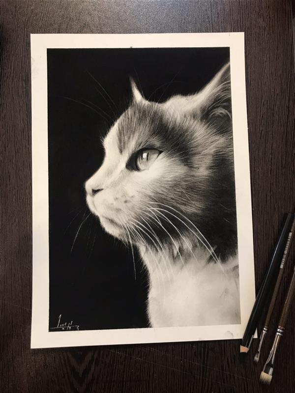 هنر نقاشی و گرافیک محفل نقاشی و گرافیک پریسا بختیارى طراحى عکس گربه خودم لى لى با سیاه قلم
#سیاه_قلم#لى_لى