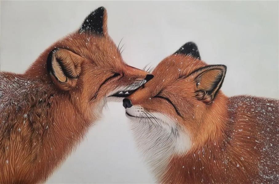 هنر نقاشی و گرافیک محفل نقاشی و گرافیک mohadese تابلو با تکنیک مدادرنگ
#احساس #روباه