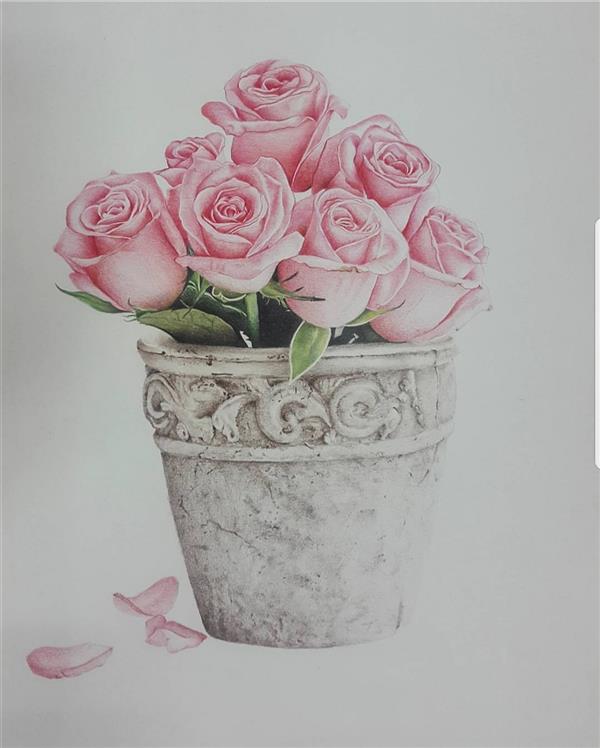 هنر نقاشی و گرافیک محفل نقاشی و گرافیک Najme #رز #roses نقاشی با تکنیک مدادرنگی در ابعاد A3