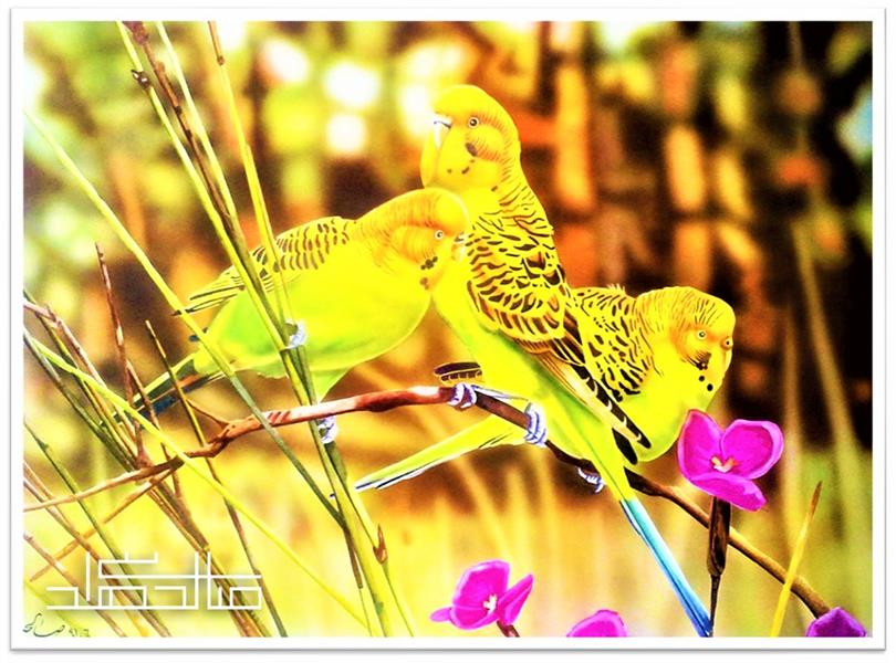 هنر نقاشی و گرافیک محفل نقاشی و گرافیک صالحه السادات هدایتی ابعاد: 50×70