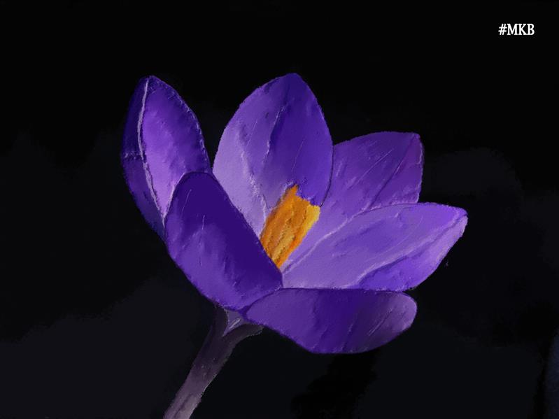 هنر نقاشی و گرافیک محفل نقاشی و گرافیک محمد کامرانی نقاشی دیجیتال رنگ روغن