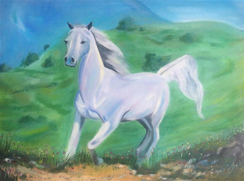 هنر نقاشی و گرافیک محفل نقاشی و گرافیک ERFAN KHAKI نقاشی رنگ و روغن در اندازه 60*45