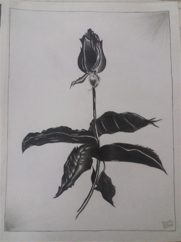 هنر نقاشی و گرافیک محفل نقاشی و گرافیک الهام امیری 