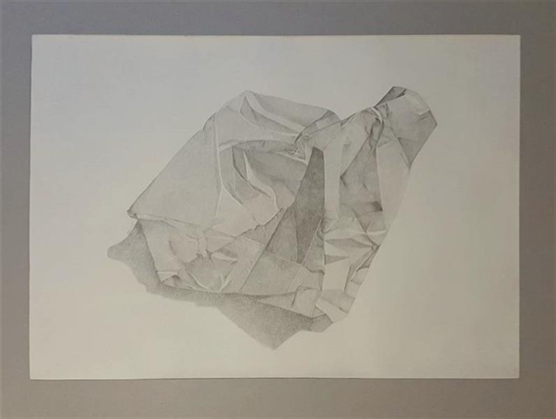 هنر نقاشی و گرافیک محفل نقاشی و گرافیک zahra ebadi موضوع:دگردیسی کاغذ مچاله .مداد روی مقوا.ابعاد:۷۰*۵۰