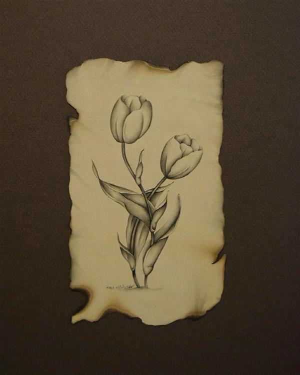 هنر نقاشی و گرافیک محفل نقاشی و گرافیک سولماز راشدزاده گل لاله با پرداز مرکب 
#لاله#گل#مرکب