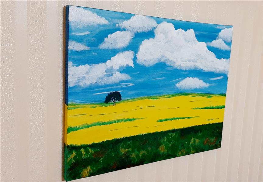 هنر نقاشی و گرافیک محفل نقاشی و گرافیک سارا بختیار قشقایی ابعاد 40*50 رنگ اکریلیک