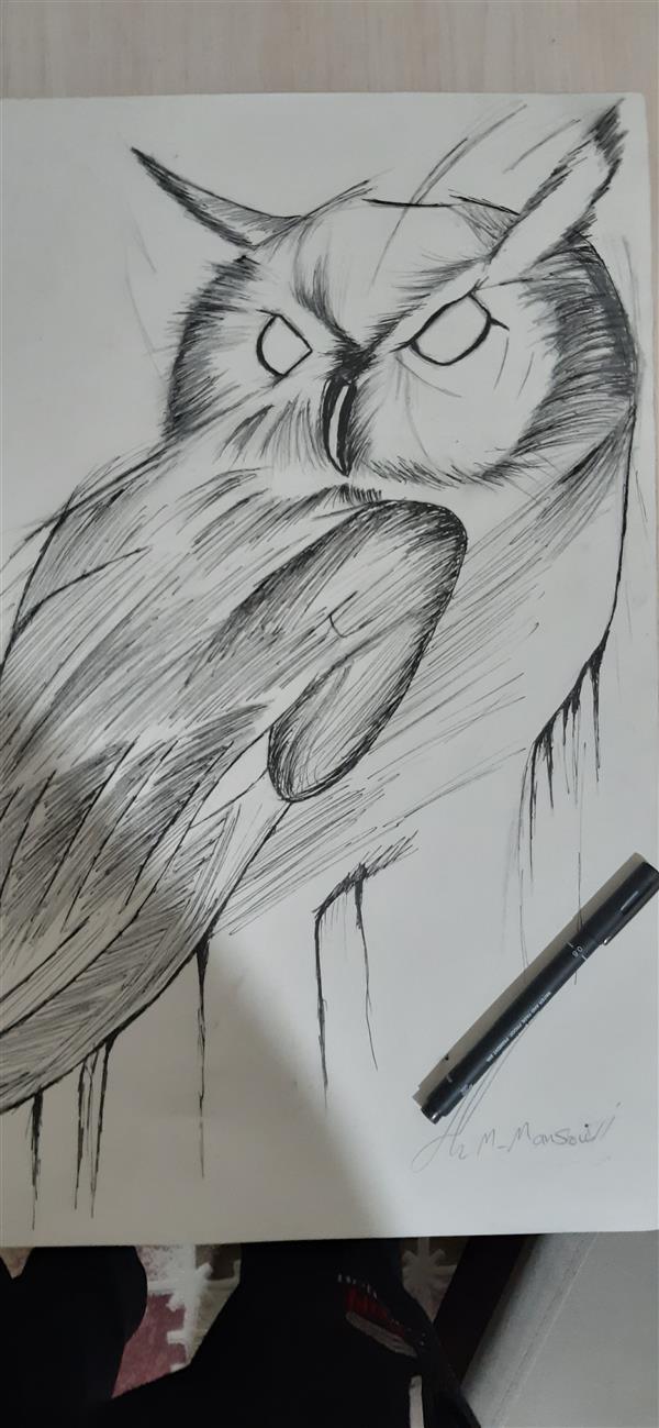 هنر نقاشی و گرافیک محفل نقاشی و گرافیک محمدمنصوری تکنیک راپید 
اندازه ۲۵×۳۰