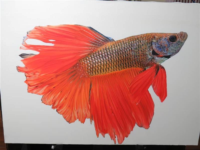 هنر نقاشی و گرافیک محفل نقاشی و گرافیک Negin kazemzadegan نقاشی با عنوان ماهی شاد در سبک هایپررئالیسم با رنگ و روغن روی بوم با ابعاد ۵۰×۷۰ سانتی متر #hyperrealism