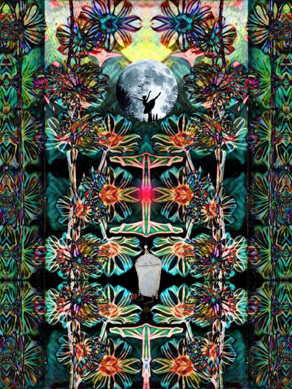 هنر نقاشی و گرافیک محفل نقاشی و گرافیک کسری آصفی Blooming moon
#flower #distorted #mania #psyche
