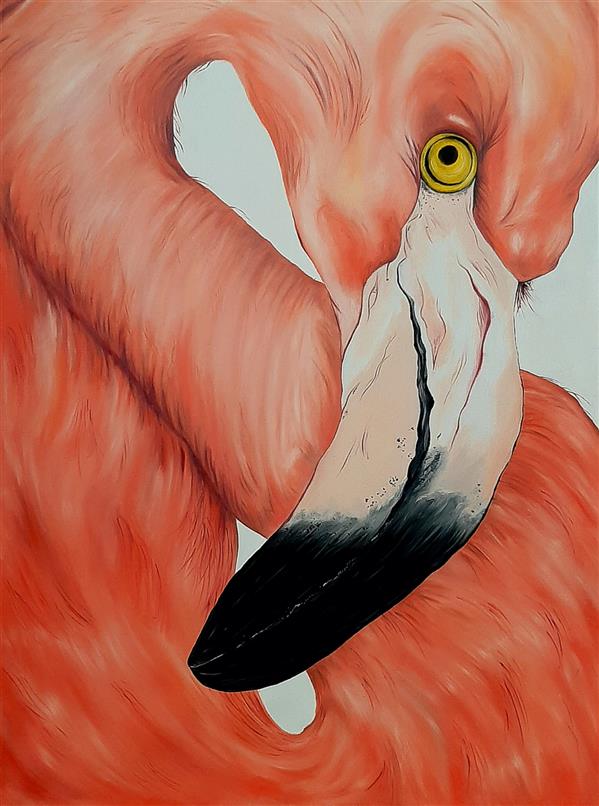 هنر نقاشی و گرافیک محفل نقاشی و گرافیک نادیا صبوری  تابلو نقاشی طرح فلامینگو با تکنیک رنگ روغن کار شده است.