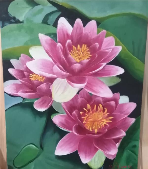 هنر نقاشی و گرافیک محفل نقاشی و گرافیک Mehrnoosh Akbarzadeh  ابعاد 60 در 40 رنگ روغن
