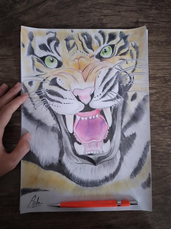 هنر نقاشی و گرافیک محفل نقاشی و گرافیک آیدا مداد رنگی