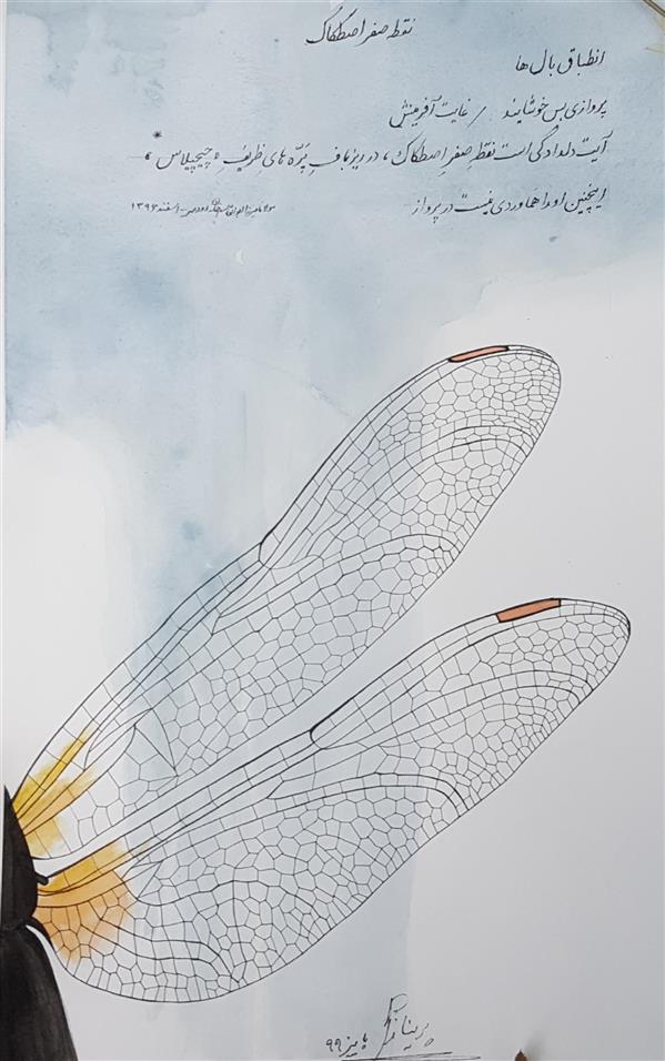هنر نقاشی و گرافیک محفل نقاشی و گرافیک پری ناز پورهاشم تبریزی نقاشی #آبرنگ #رئال  همراه با سروده قطعه شعری در باب #نقطه_صفر_اصطکاک #سنجاقک