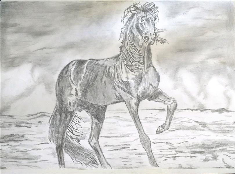 هنر نقاشی و گرافیک محفل نقاشی و گرافیک Mehdi 