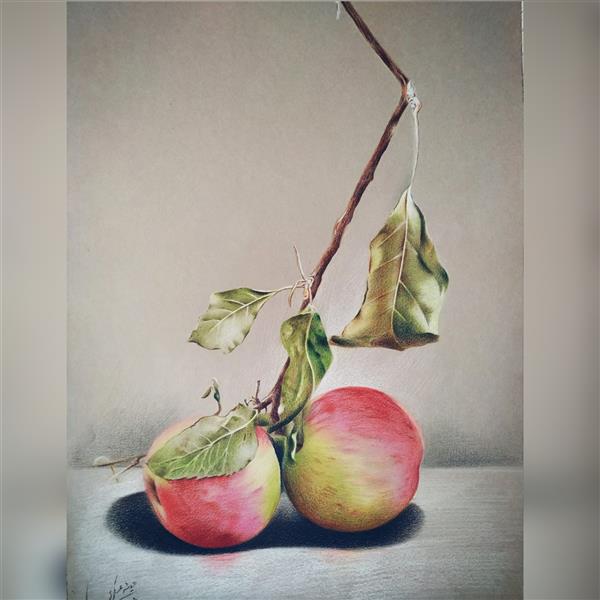 هنر نقاشی و گرافیک محفل نقاشی و گرافیک حدیثه عسکری اثر سیب سرخ 