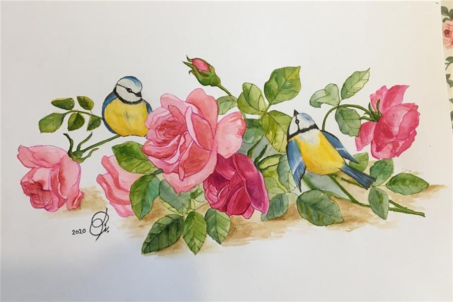 هنر نقاشی و گرافیک محفل نقاشی و گرافیک Batoul Kobeissy #watercolorpainting #watercolour #roses&birds #art #drawing #2020 #art2020 