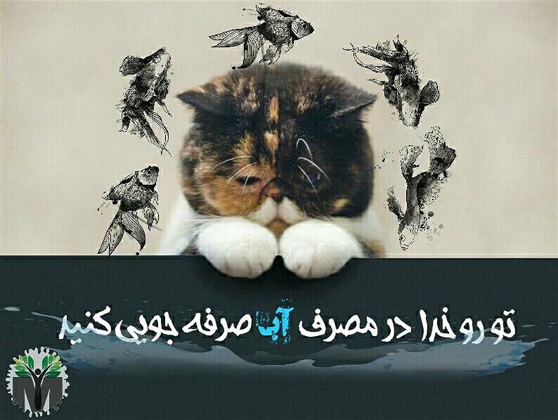 هنر نقاشی و گرافیک محفل نقاشی و گرافیک سید مهدی موسوی نیا 