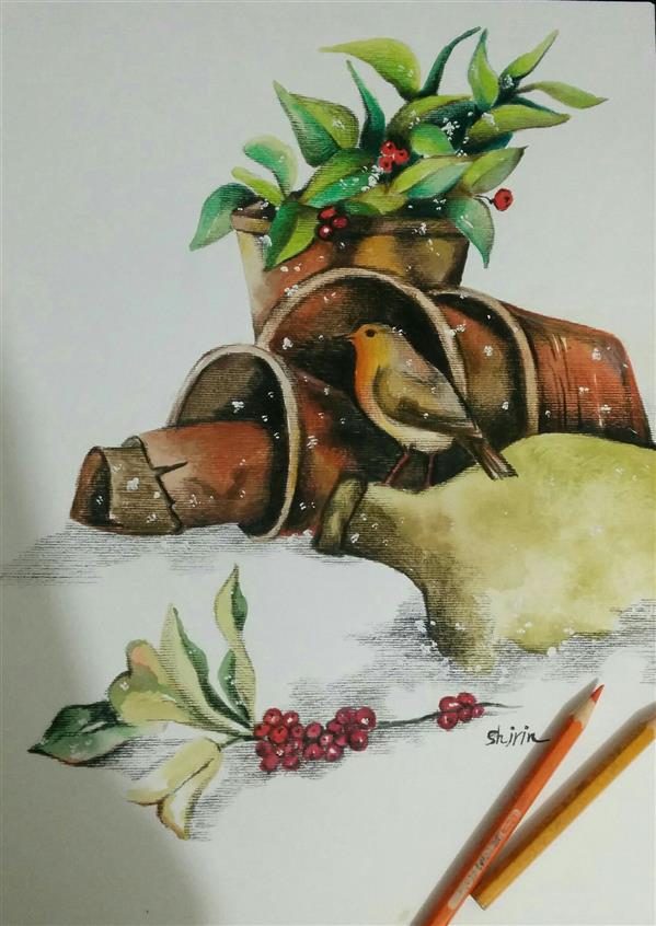 هنر نقاشی و گرافیک محفل نقاشی و گرافیک Shirin orang پرنده برفی