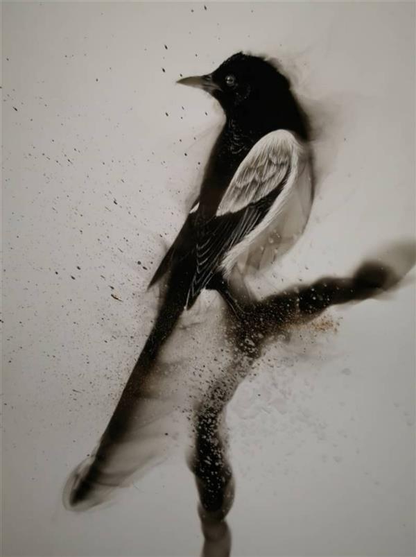 هنر نقاشی و گرافیک محفل نقاشی و گرافیک حسین هلالی #نقاشی#پرنده#شمع#نقاشی_با_شمع#زاغ