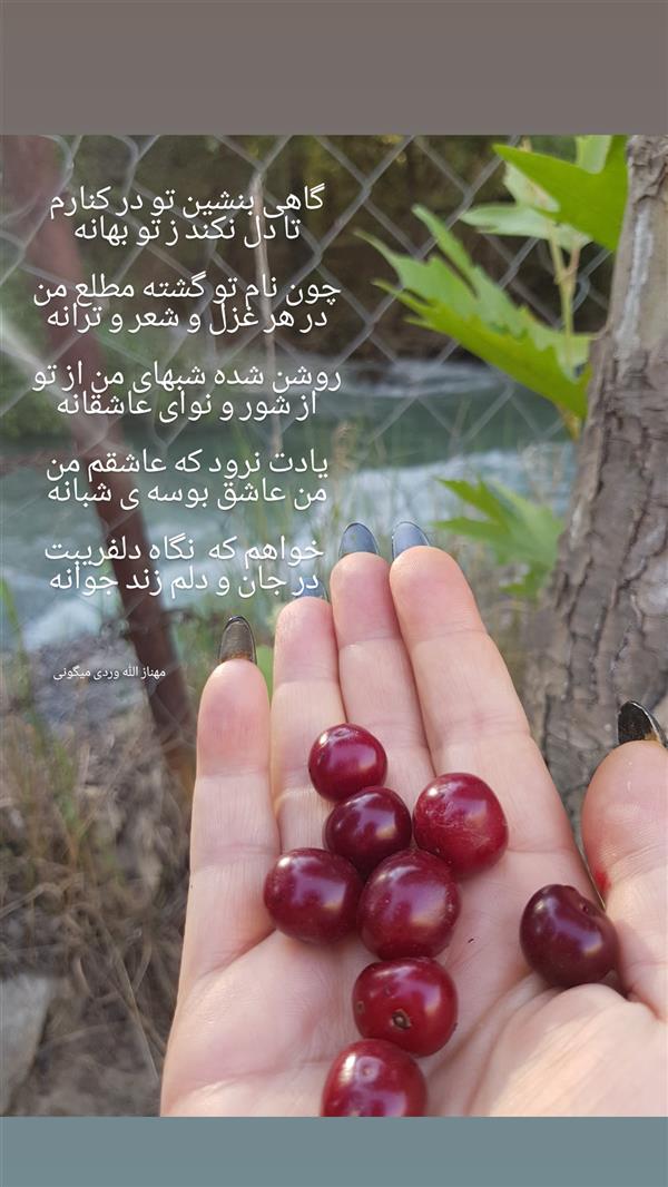 هنر شعر و داستان محفل شعر و داستان مهناز الله وردی میگونی #عشق#نوای_عاشقانه#بوسه_شبانه