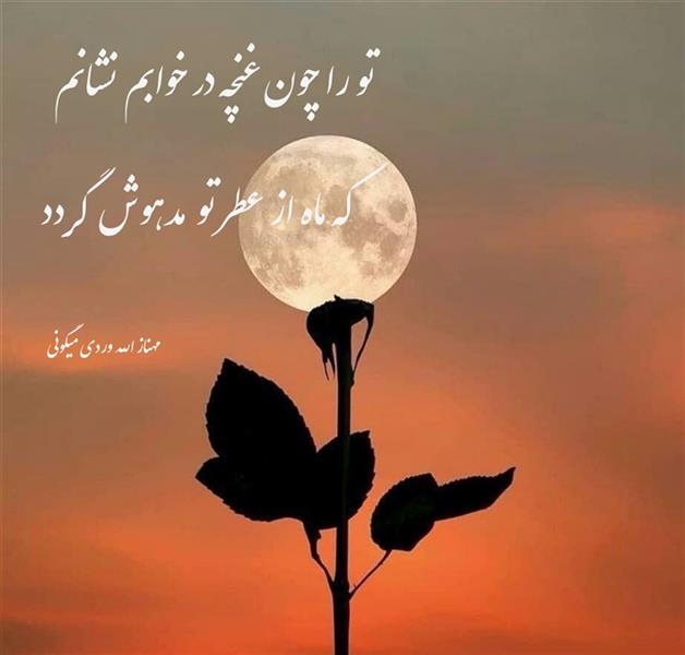 هنر شعر و داستان محفل شعر و داستان مهناز الله وردی میگونی #قلم_شب 

تو را چون غنچه در خوابم نشانم
که ماه از عطر تو  مدهوش  گردد
#مهناز_الله_وردی_میگونی
#شبخوش