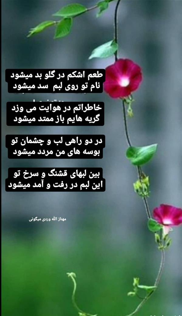 هنر شعر و داستان محفل شعر و داستان مهناز الله وردی میگونی #عشق#بوسه#اشک
