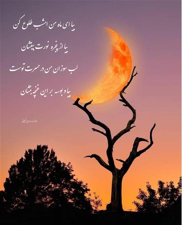 هنر شعر و داستان محفل شعر و داستان مهناز الله وردی میگونی #شبخوش#ماه#بوسه#تنهایی
#عشق