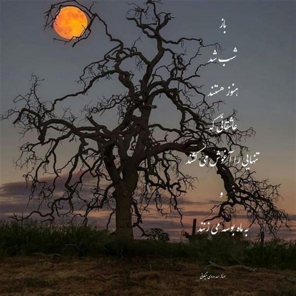هنر شعر و داستان محفل شعر و داستان مهناز الله وردی میگونی #قلم_شب
باز شب شد،هنوز هستندعاشقانی که
تنهایی را آغوش می کشند
و
به ماه بوسه می زنند
#مهناز_الله_وردی_میگونی
#شبخوش#ماه#بوسه
