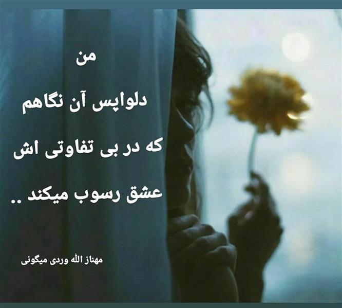 هنر شعر و داستان محفل شعر و داستان مهناز الله وردی میگونی #پریسکه#عشق#نگاه#مهناز_الله_وردی#میگون