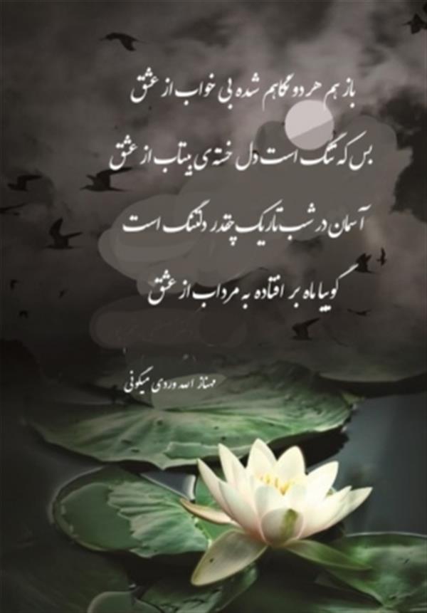 هنر شعر و داستان محفل شعر و داستان مهناز الله وردی میگونی باز هم هر دو نگاهم شده بی خواب از عشق
بس که تنگ است دل خسته ی بیتاب از عشق
آسمان در شب تاریک چقدر دلتنگ است
گوییا ماه بر افتاده به مرداب از عشق