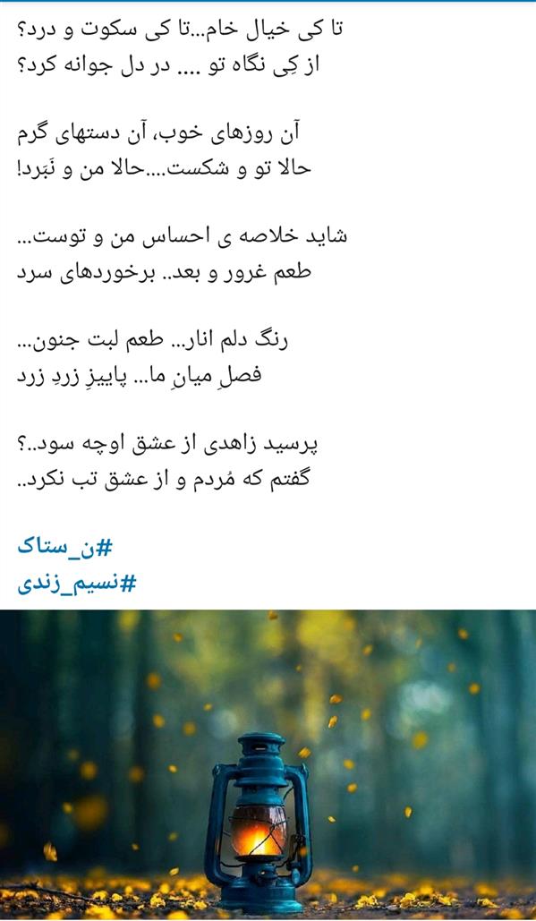 هنر شعر و داستان محفل شعر و داستان نسیم زندی زاده (ں-ښ ٺاڪ) 