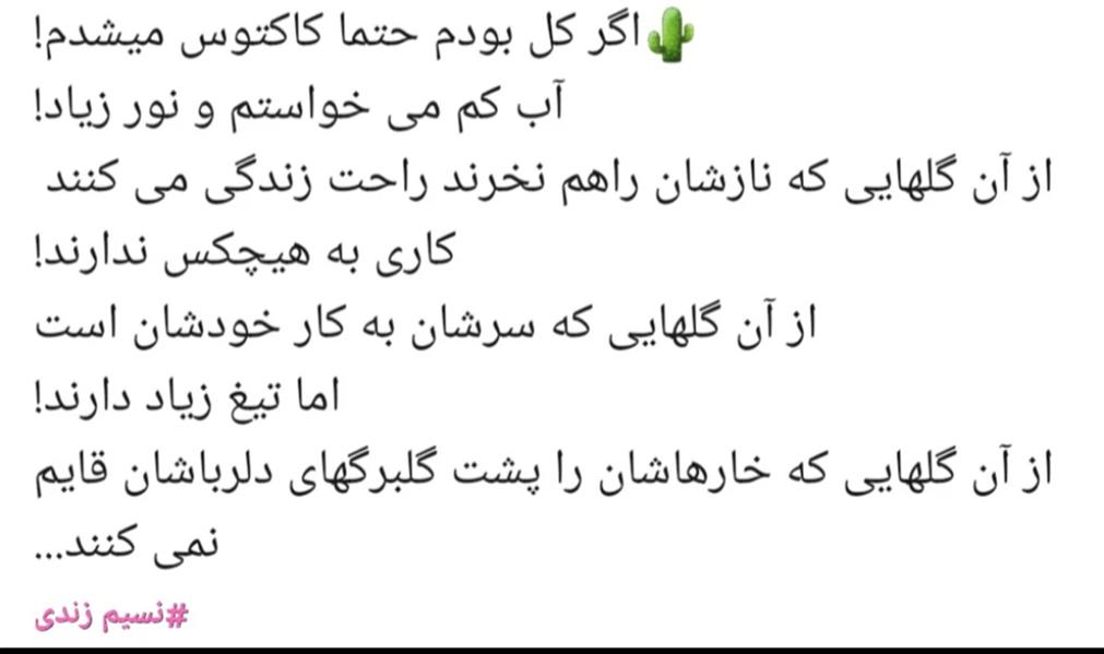 هنر شعر و داستان محفل شعر و داستان نسیم زندی زاده (ں-ښ ٺاڪ) کاکتوس