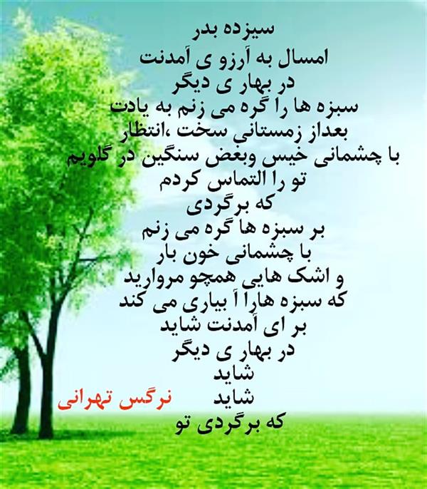 هنر شعر و داستان محفل شعر و داستان نرگس تهرانی سیزده به در
