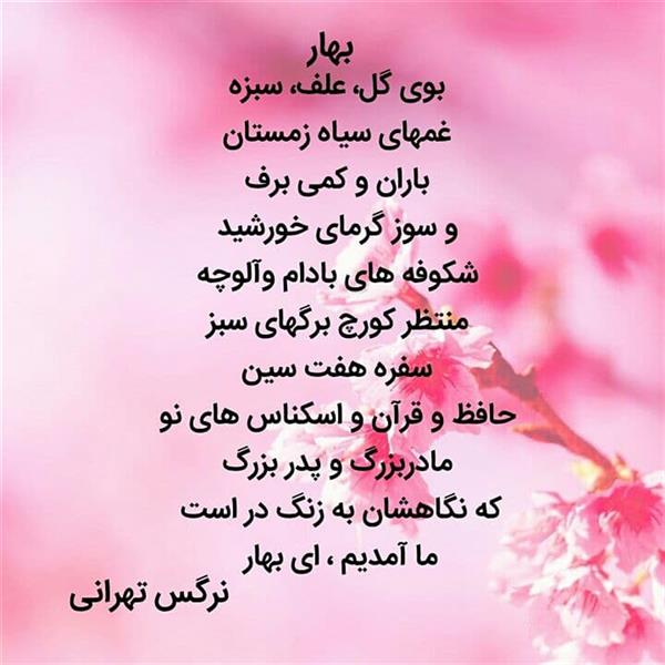 هنر شعر و داستان محفل شعر و داستان نرگس تهرانی بهار