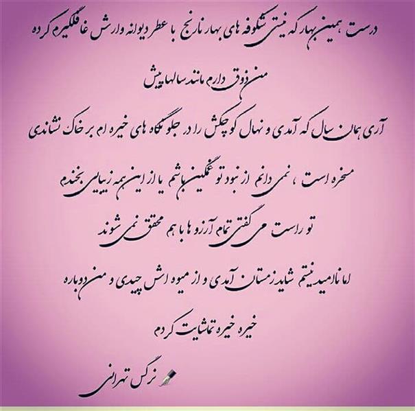 هنر شعر و داستان محفل شعر و داستان نرگس تهرانی #بهار نارنج
