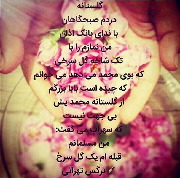 هنر شعر و داستان محفل شعر و داستان نرگس تهرانی #شعر گلستانه #
#شعر#
#نرگس تهرانی#