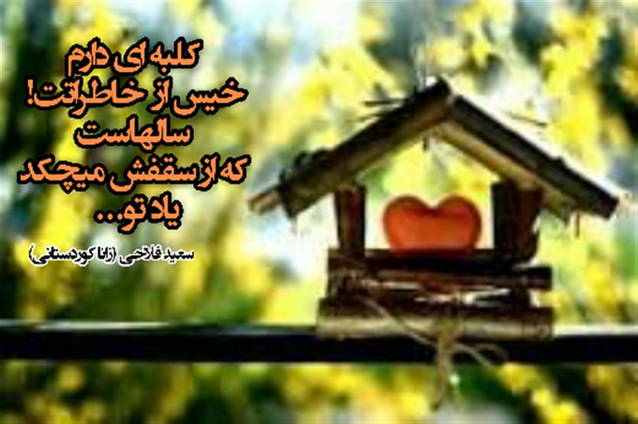 هنر شعر و داستان محفل شعر و داستان زانا کوردستانی سعید_فلاحی
#زانا_کوردستانی
#لیلا
#لیلایم
#لیلا_طیبی
#رها
#رهایم
#رها_فلاحی
#کتاب
#شعر
#شعر_کوتاه
#شعر_سپید
#ایران
#عشق
#دوست
#ادبیات
#ادبیات_فارسی
#ادبیات_کردی
#کورد
#کردستان
#کرمانشاه
#همدان
#لرستان
#بروجرد
#نهاوند
#انجمن_شعر_و_ادب_میخانه
#شعر
#شعرک
#پریسکه
#سپکو
#چامه
#چامک
#چکامه
#شاعر
#نویسنده
#نقاش
#دلبر
#عشوه
#ناز
#غمزه
#خاطرات