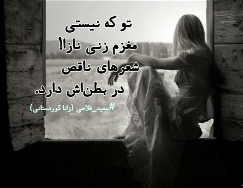 هنر شعر و داستان محفل شعر و داستان زانا کوردستانی #سعید_فلاحی
#زانا_کوردستانی
#شاعران_عصر_ما
#هاشور
#هاشور_در_هاشور
#شعر
#شعرکوتاه
#شعرسپیدکوتاه
#بروجرد
