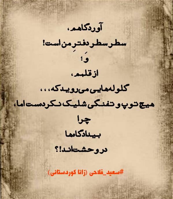 هنر شعر و داستان محفل شعر و داستان زانا کوردستانی #سعید_فلاحی 
#سعیدفلاحی 
#زانا_کوردستانی 
#شعر
#شعرکوتاه
#شعرسپید
#هاشور
#کامیاران
#بروجرد
#کرمانشاه
#المپیک
#عشق