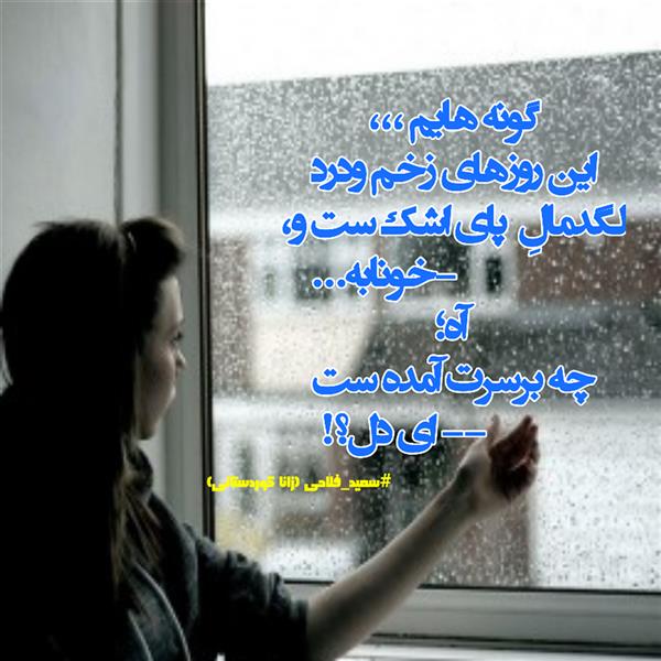 هنر شعر و داستان محفل شعر و داستان زانا کوردستانی #سعید_فلاحی
#زانا_کوردستانی
#شاعران
#شعرا
#هاشور
#هاشور_در_هاشور
#همراهی
#شعر_پاک
#شعر_ایران
#شعر_ناب
#شعر_آزاد
#هنرات
#ویرگول
#شاعران_پارسی_زبان
#صیانت_شعر
#نویسندگان_وهنرمندان_غرب_کشور
#شعر_یعنی_زندگی
#عشق_و_شعر
#عشق_ناب
#راویان_شعروادب
#کافه_مهرگان
#رازک
#کانال_شعرتر
#نفس
#شعرونه
#قلم_عشق
#عرض_قلم
#شعر_شور_عشق
#شعر_و_شعور
#انارهای_رنگ_پریده
#آیات_غمزه
#نویسنده